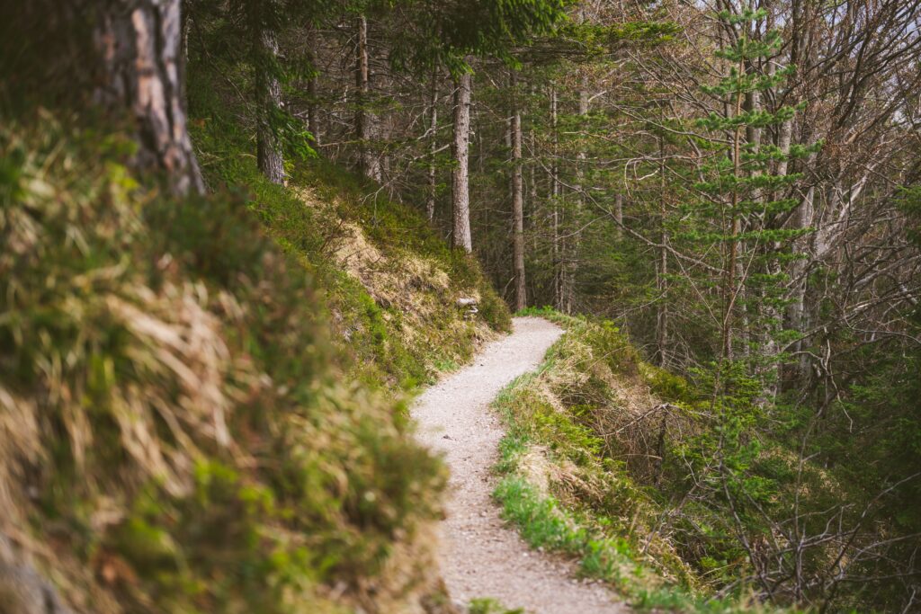 A hiking trail in the Bavarian Alps during spring