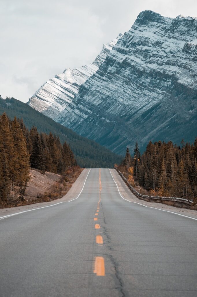 nature-2575771_1280