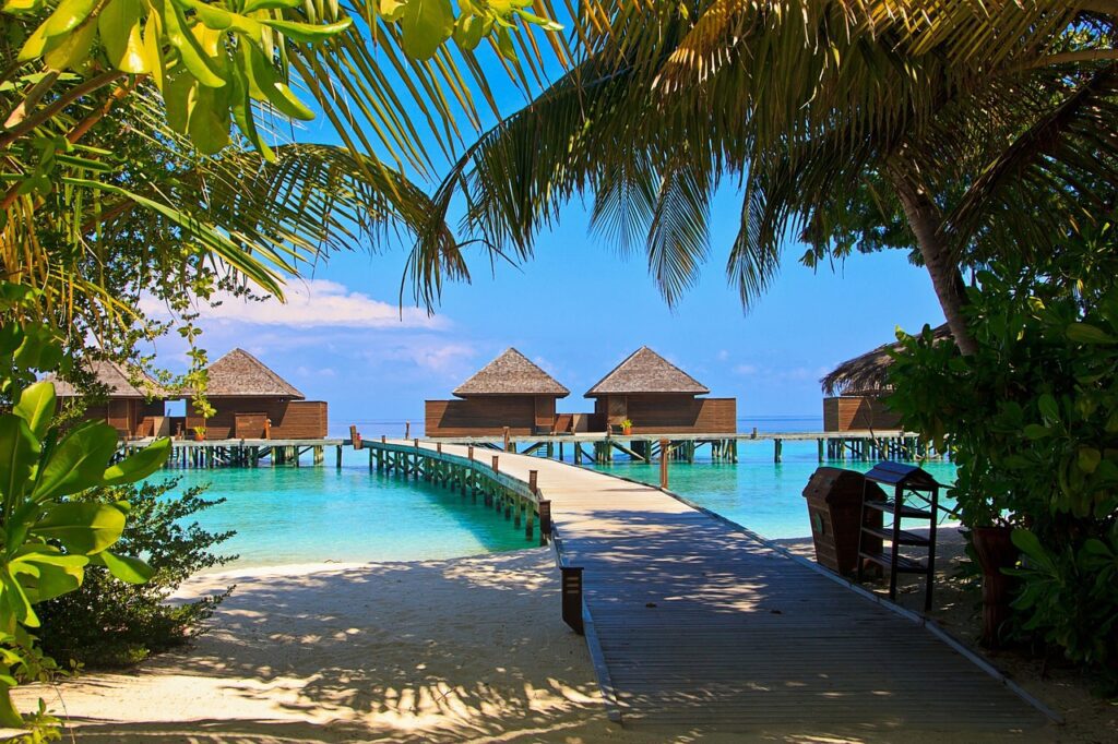 veligandu-island-1044366_1280 A picturesque beach scene with palm trees and clear blue waters