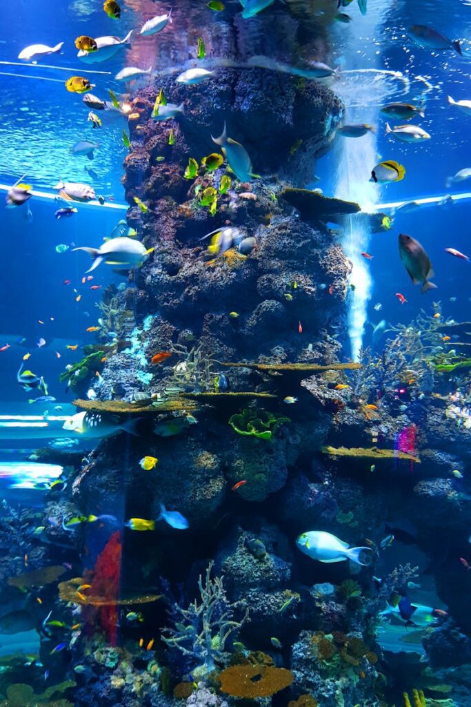 A colorful display of marine life at an aquarium in Singapore, showcasing diverse tropical fish and coral formations.