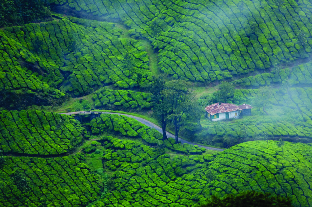 munnar 4769654 1280