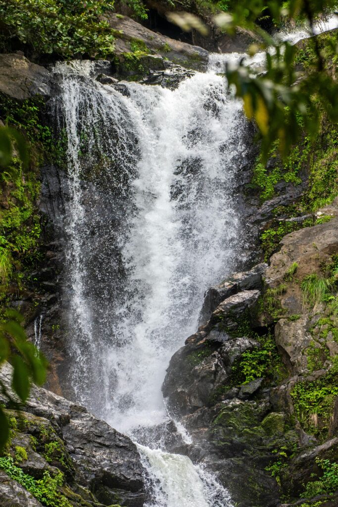 pexels shambadatta 27728559