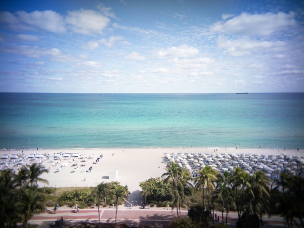 Miami Winter Travel Guide